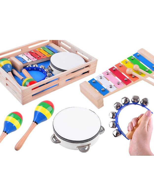 Medinis instrumentų rinkinys 4in1 