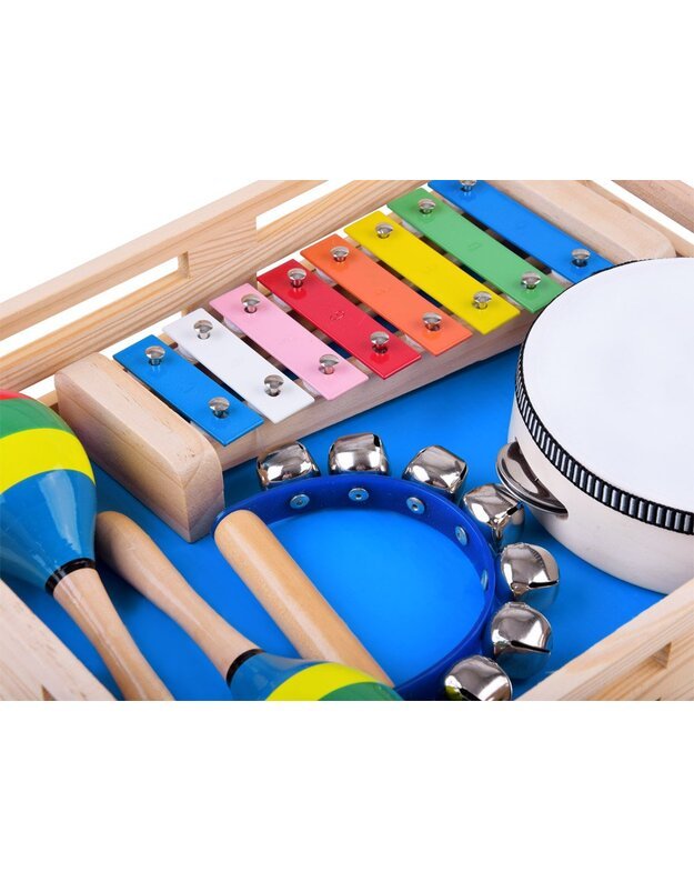 Medinis instrumentų rinkinys 4in1 