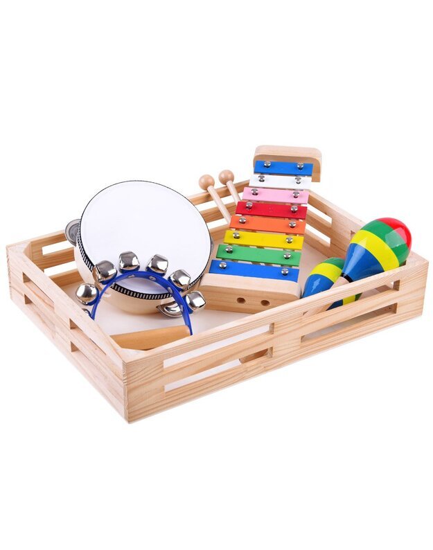 Medinis instrumentų rinkinys 4in1 