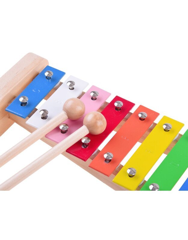 Medinis instrumentų rinkinys 4in1 