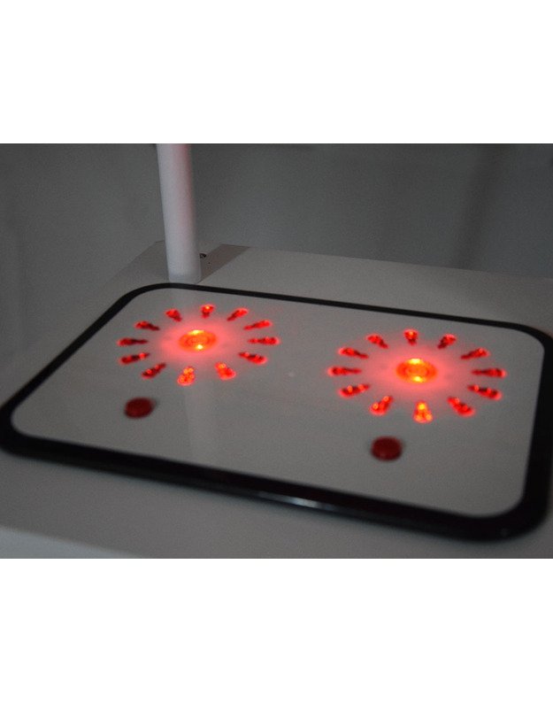 Medinė virtuvė su garso ir šviesos efektais